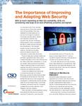 The importance of improving and adapting web security